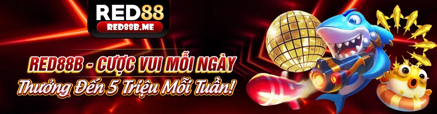 Cơ hội hợp tác cùng rr888 apk